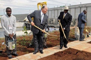 mhi digging in garden of some kind