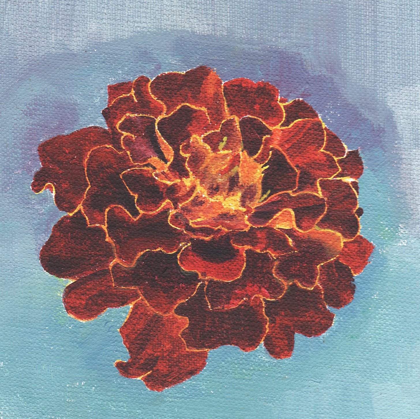 painting of marigold, by Janina Lamb