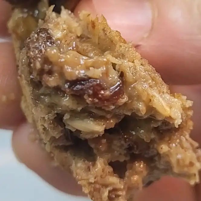 Sunbutter Raisin Cookie Drop's gooey inside