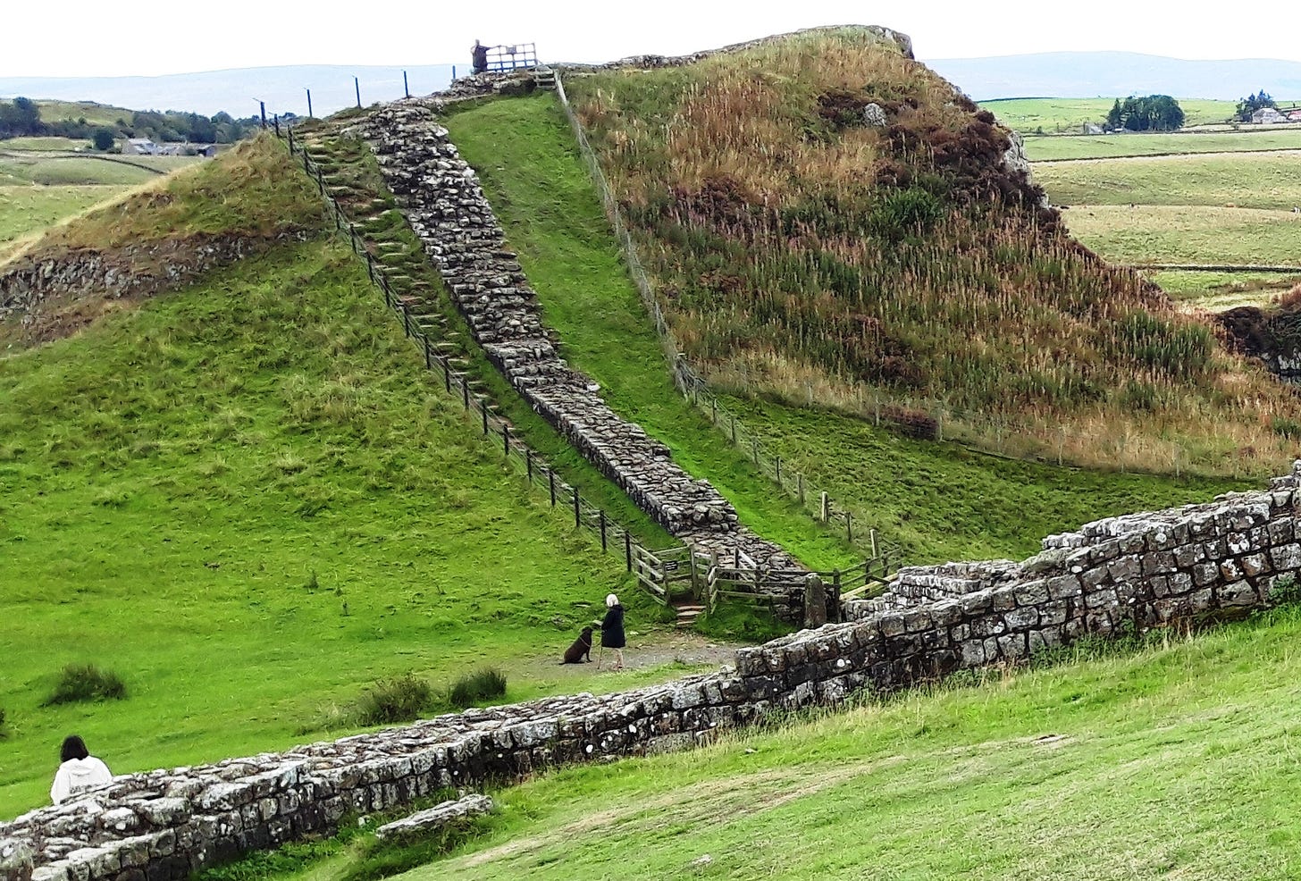 Hadrian's Wall at the site of the cow attack.