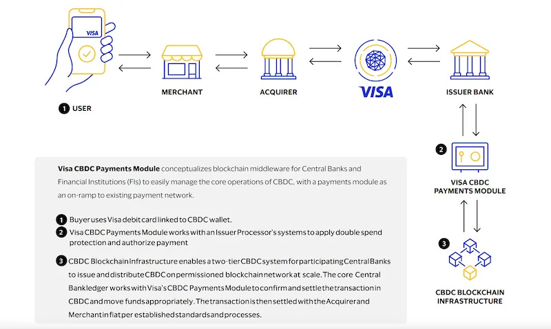 Visa: How CBDC Can Help Drive Digitization and Responsible Innovation /  News / Currency Research