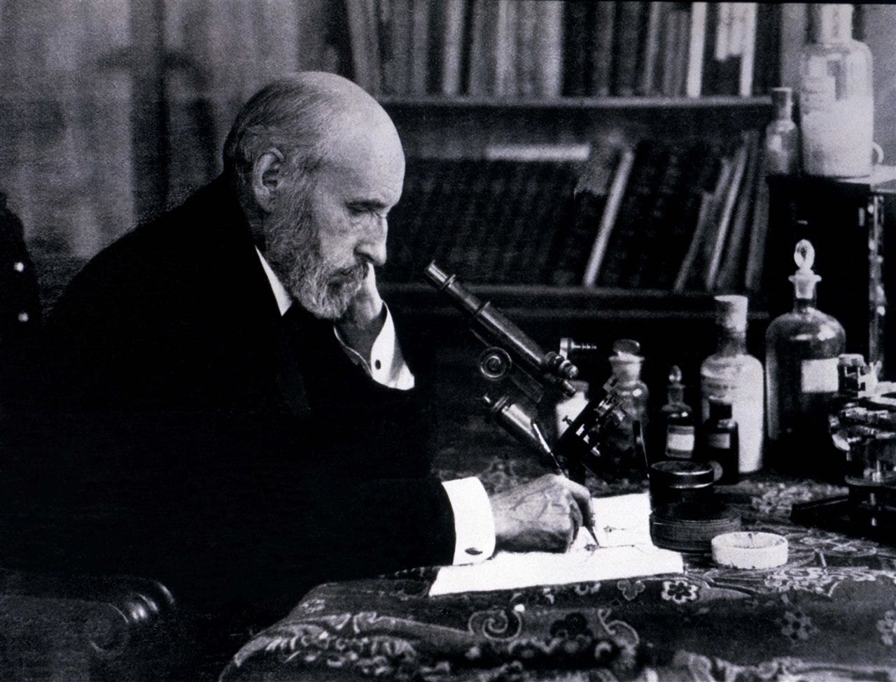 Santiago Ramón y Cajal (1852-1934)