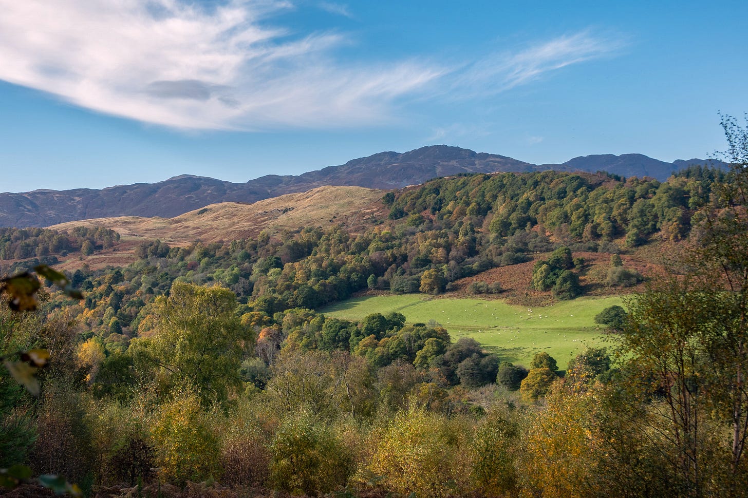 View across Glen Artney to Aberuchill Estate; the castle is out of sight over the near hill © Felicity Martin View across Glen Artney to Aberuchill Estate; the castle is out of sight over the near hill © Felicity Martin