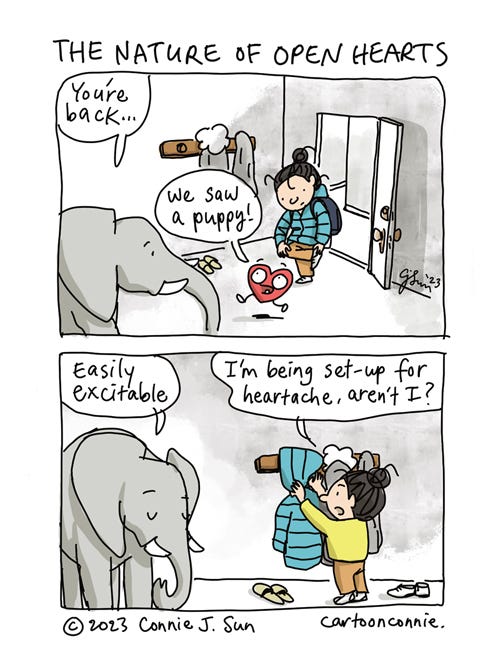 The Nature of Open Hearts 2-panel comic strip about the nature of being open-hearted, part 6 in a series. In panel 1, an elephant greets a girl with a bun, saying "You're back," as she walks into the door of her apartment and takes off her shoes. A peppy red cartoon heart leaps in the door too and says, "We saw a puppy!" In panel 2, Elephant remarks that the heart is "Easily excitable." The girl hangs up her coat and says, "I'm being set up for heartache, aren't I?" Cartoon heading: "The Nature of Open Hearts." By Connie Sun, cartoonconnie, 2023.