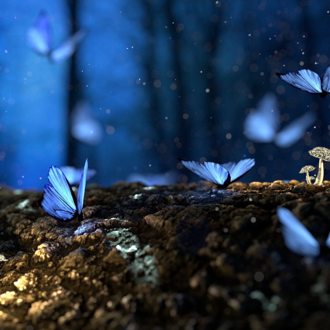 Blue butterflies alight upon rock and flirt with mushrooms in a magical nighttime forest.