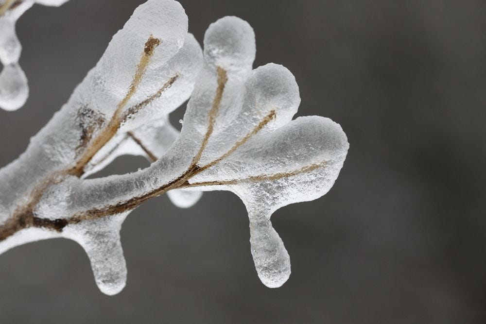 Protect Your Home from Snow Melt