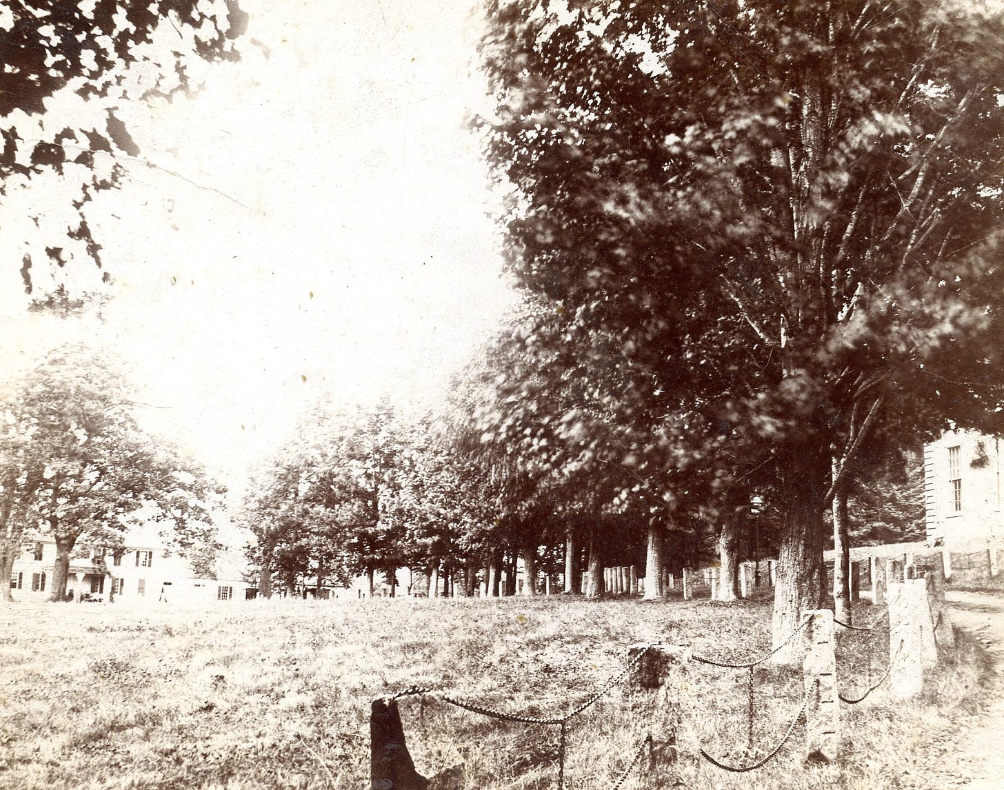 Fence posts at Appleton Academy