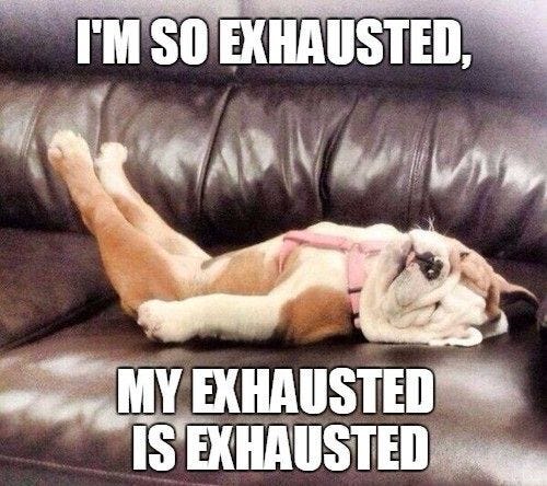 25 Exhausted Memes You'll Find Way Too Funny - SayingImages.com