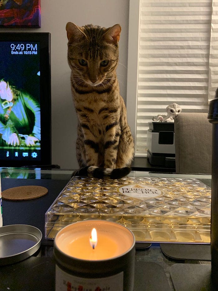 A bengal cat named Nezuko looking into the candle light