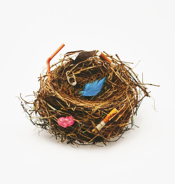 A color photograph of a nest filled with trash, including cigarette butts, a soda tab, wire, chewed-up bubble gum and a blue feather in the middle.