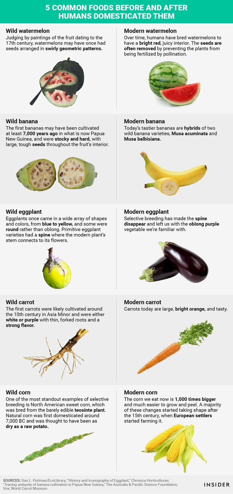 Fruits and Vegetables Before and After Human Domestication