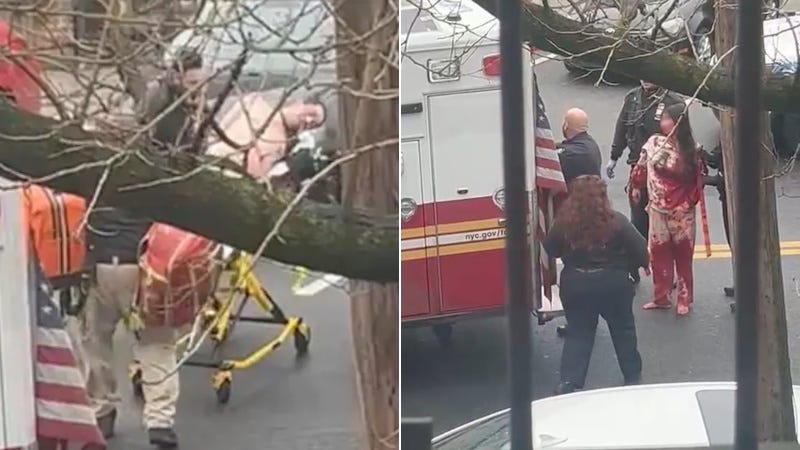 Külföldi gyanúsítottat lőtt le a rendőrség, miután négy gyereket feltörtek húsvágóval New Yorkban