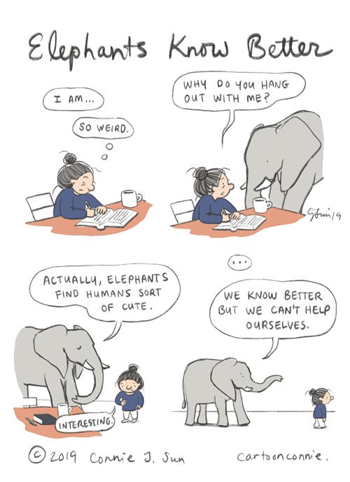 elephants know better comic strip journal comics, comics, cartoon, humor, drawing, illustration, connie sun, cartoonconnie