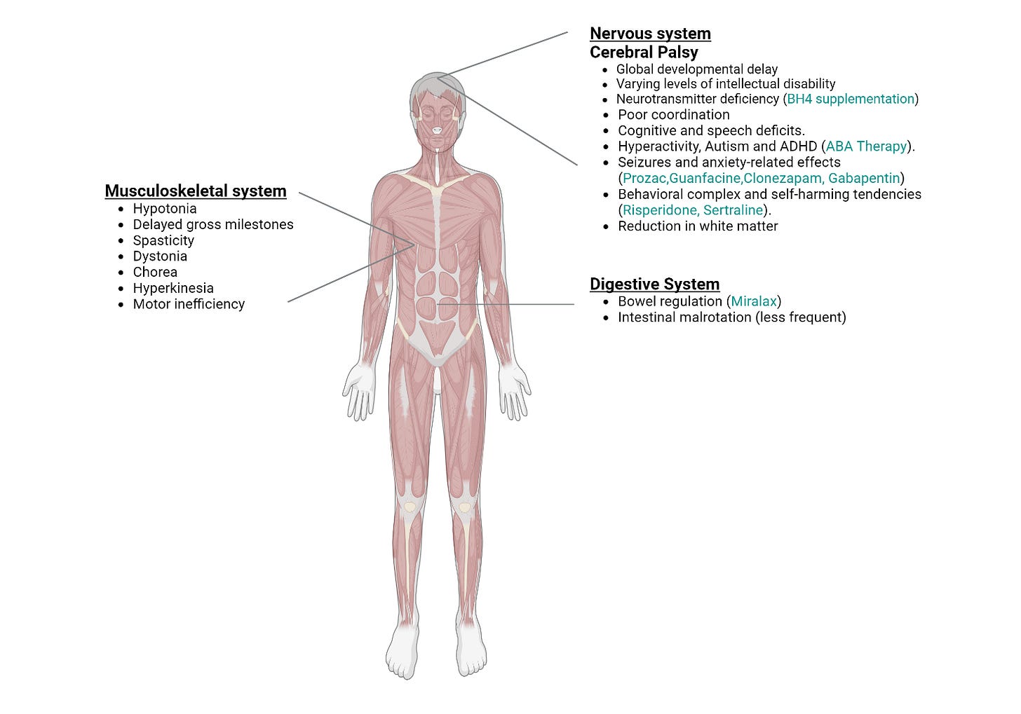 A diagram of a human body

Description automatically generated