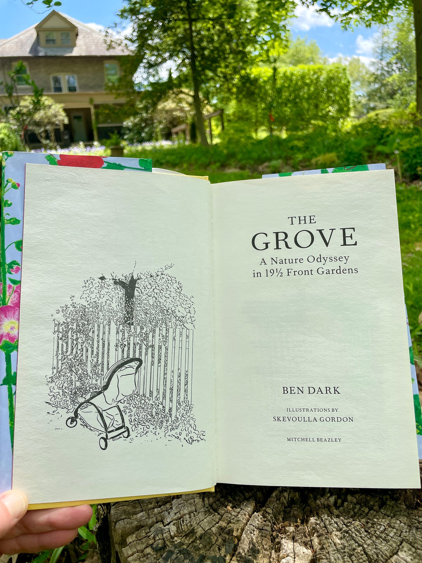 The title page and first illustration by Skevoulla Gordon in The Grove by Ben Dark.