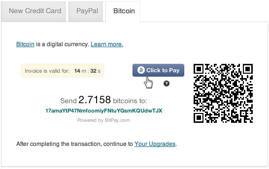 Bitcoin payment interface