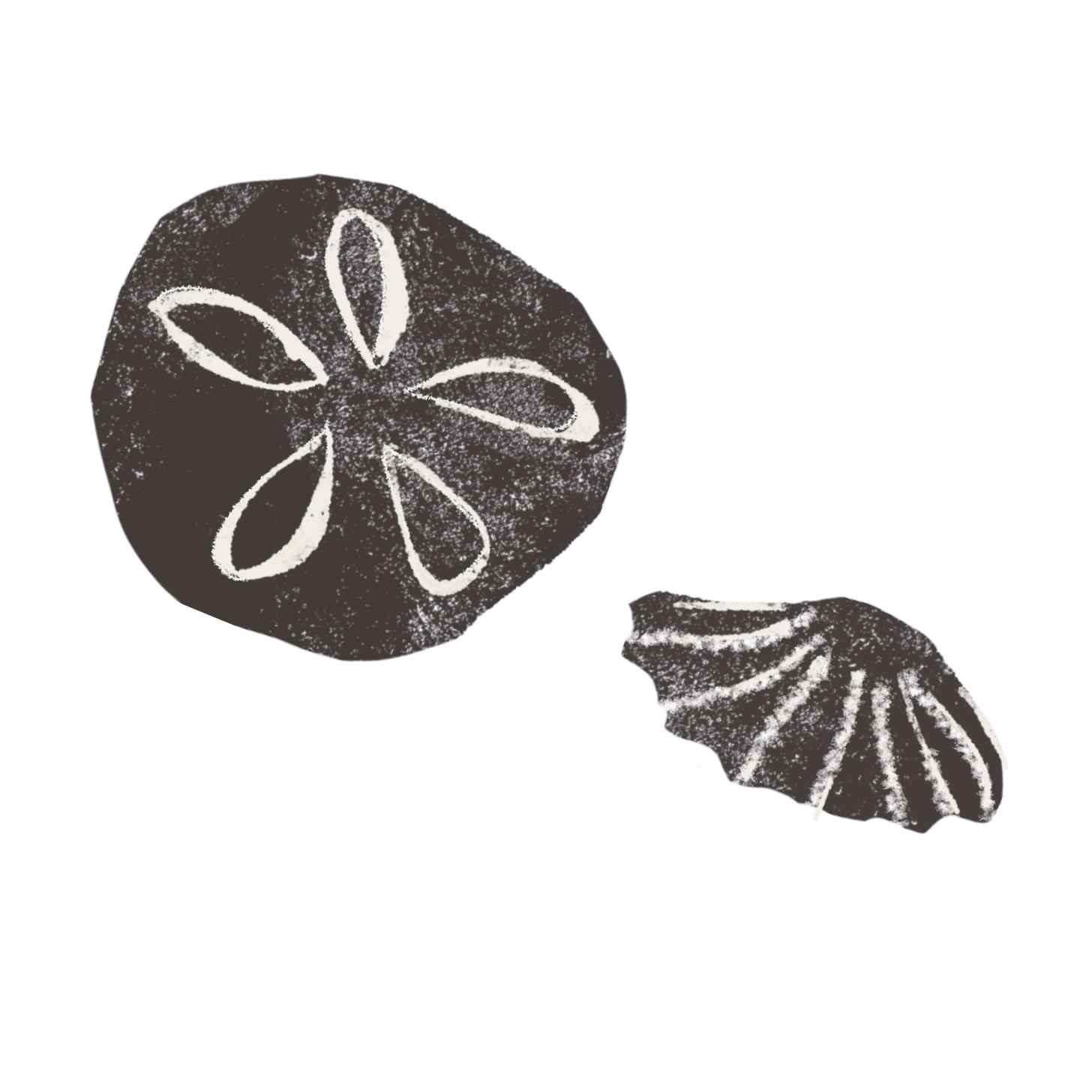 Illustration of seashells