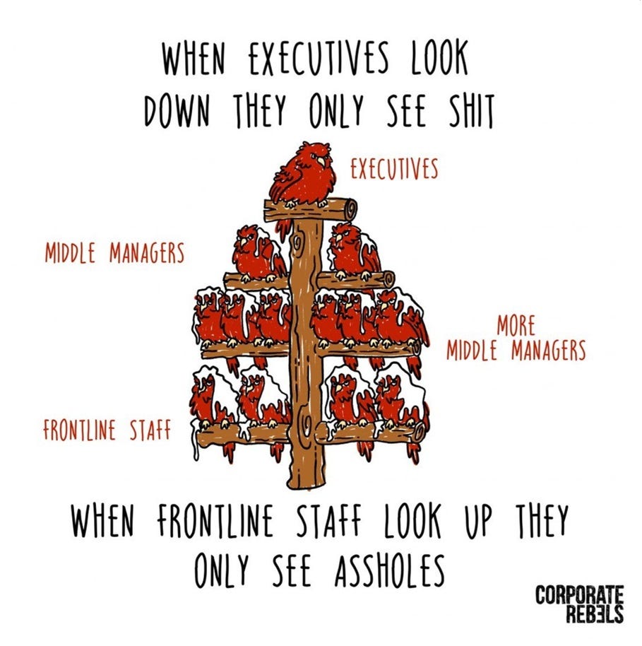 Image shows: birds sitting on a wooden perch, depicting the staff hierarchy from the Executive at the top, next down the perch is middle managers and more middle managers to the front-line staff at the bottom. The text at the top of the image says: When Executives look down they only see shit. At the bottom of the image the text says: When Frontline staff look up they only see assholes. 