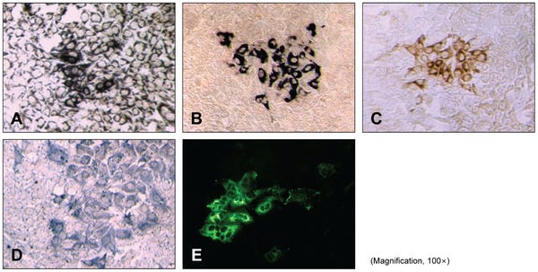 Figure 2 Figure 2