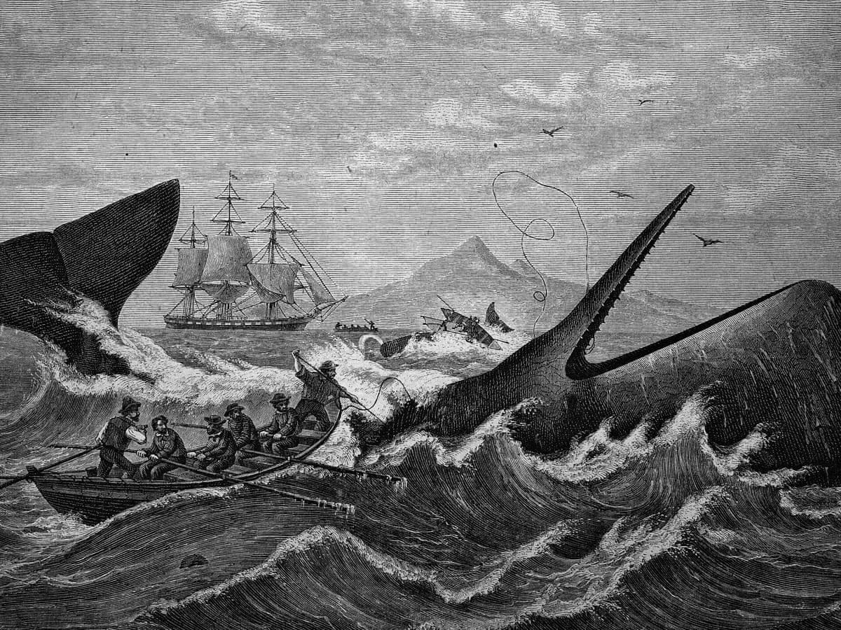 Subversive, queer and terrifyingly relevant: six reasons why Moby-Dick is  the novel for our times | Fiction | The Guardian