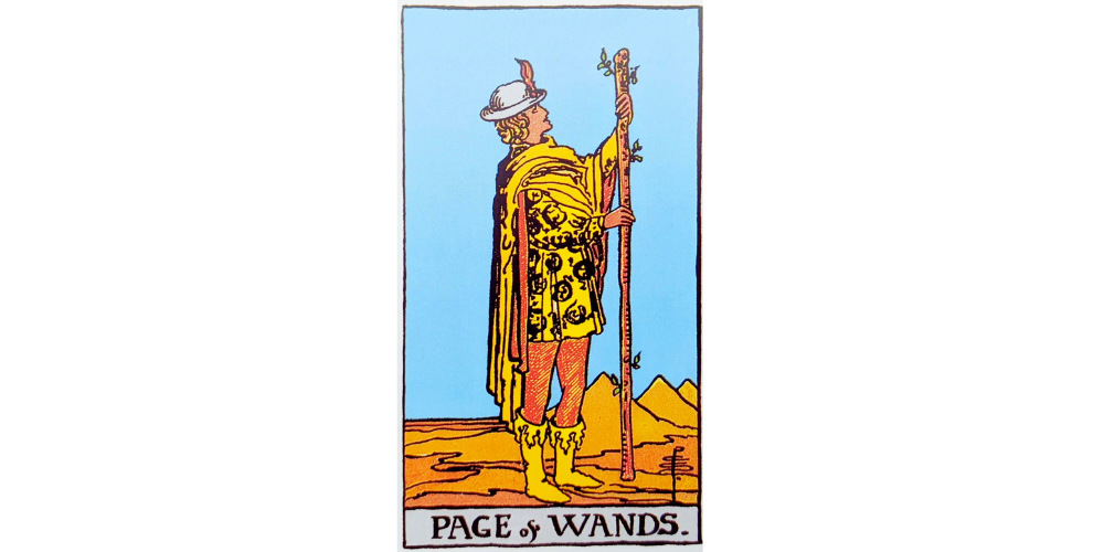 The Page of Wands tarot card. Description to follow in the text.