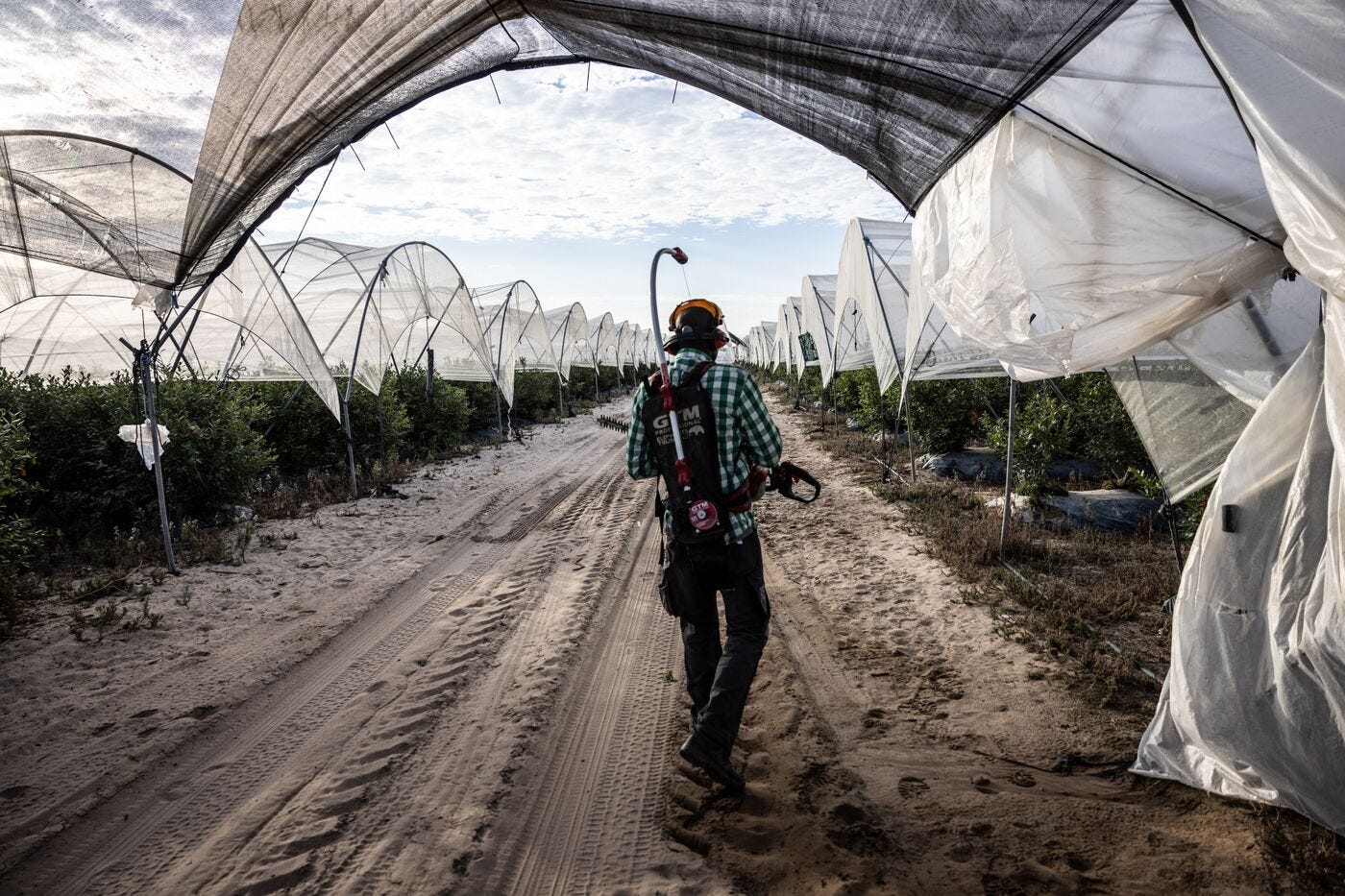 relates to Spain’s Climate Election Pits Water Police Against Angry Berry Farmers