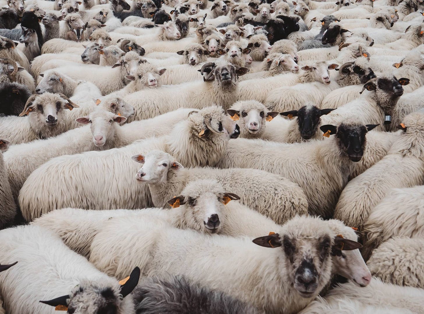 Hannah Arendt On Standing Up to the Banality of Evil | Philosophy Break