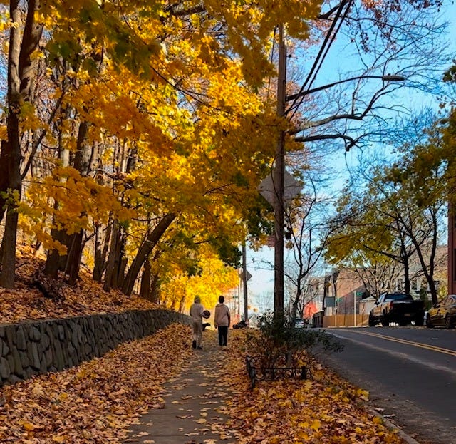 Image shows two young male figures, one with a basketball, from behind. They are walking along a sidewalk lined on both sides by golden leaves. The trees overhead are also golden.