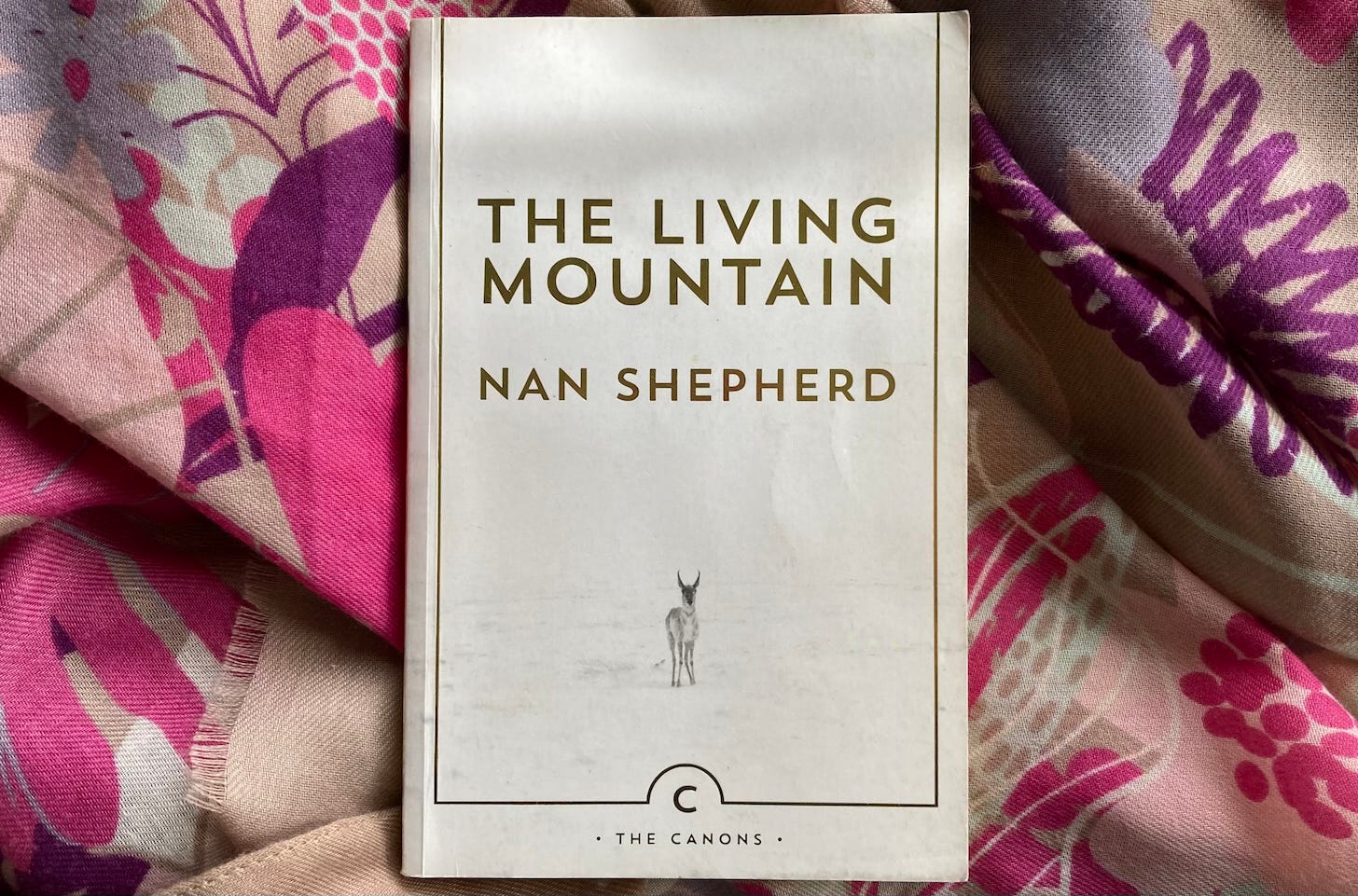 Book cover of The Living Mountain by Nan Shepherd for a review by Yasmin Chopin on her Substack Place Writing.