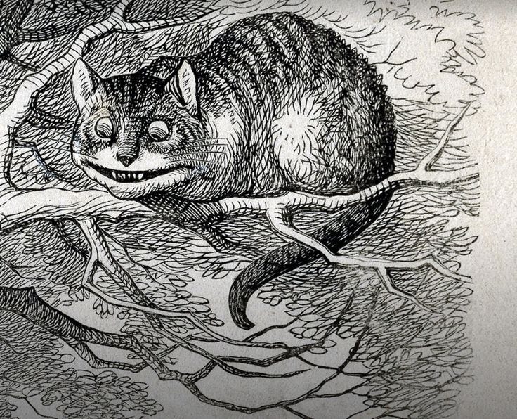 Cheshire cat | Alice in wonderland illustrations, Alice in wonderland  aesthetic, Alice in wonderland original