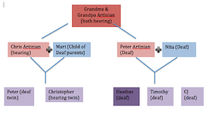 Phả hệ gia đình Artinian