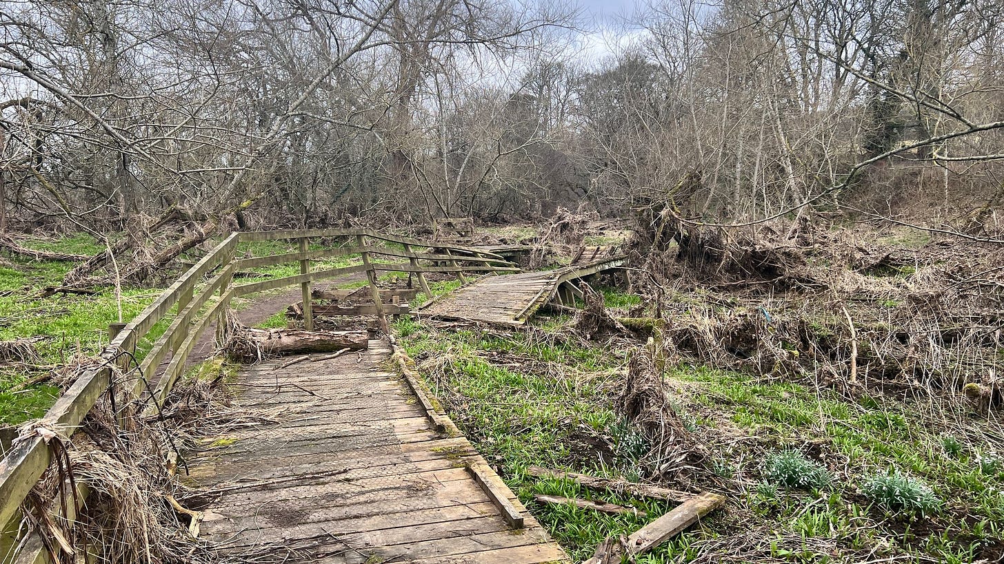 The boardwalk has totally devistated Clyde River during a recent flood