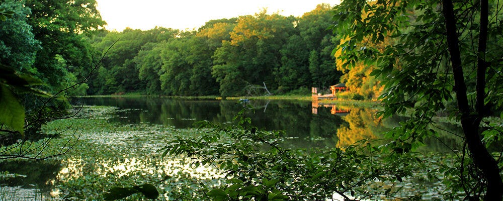 The lily dappled Sager's Lake. Courtesy of Lake O' The Woods Club