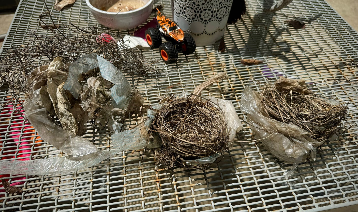 Three cardinal nests of natural materials and plastic, arrayed on an outdoor table