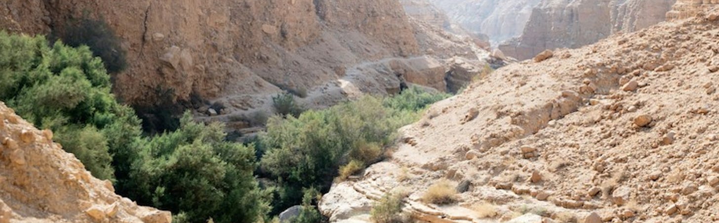 A photograph of a valley in Israel, with a creek, trees and lots of rocks.