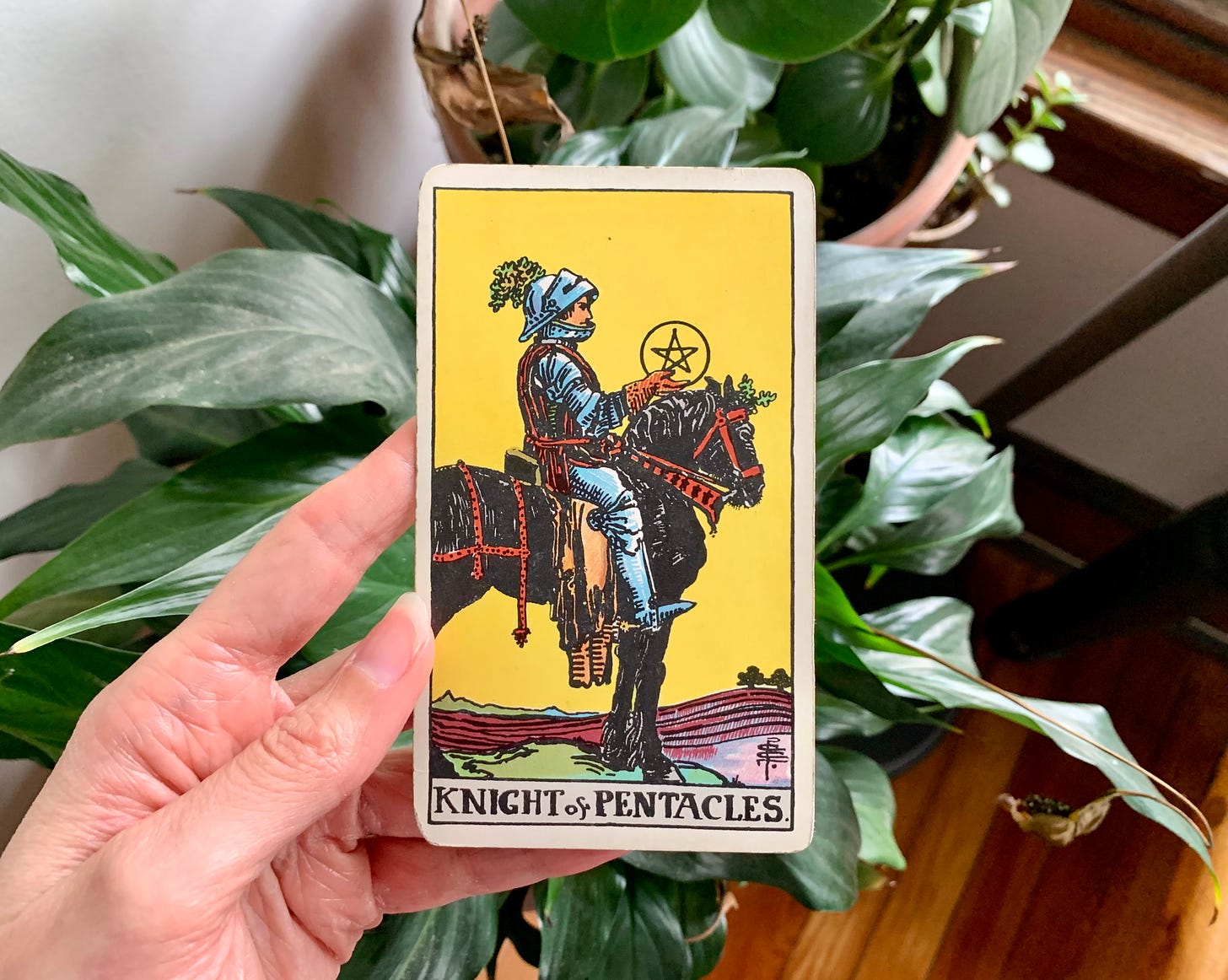 A hand is holding a tarot card, knight of pentacles by Pamela Colman Smith for the Rider Waite Smith Tarot. In the image a person is sitting in full armor on a black horse overlooking a field that looks ready for growing season. The person is holding a pentacle. Behind the card are houseplants, light is coming in from a window.