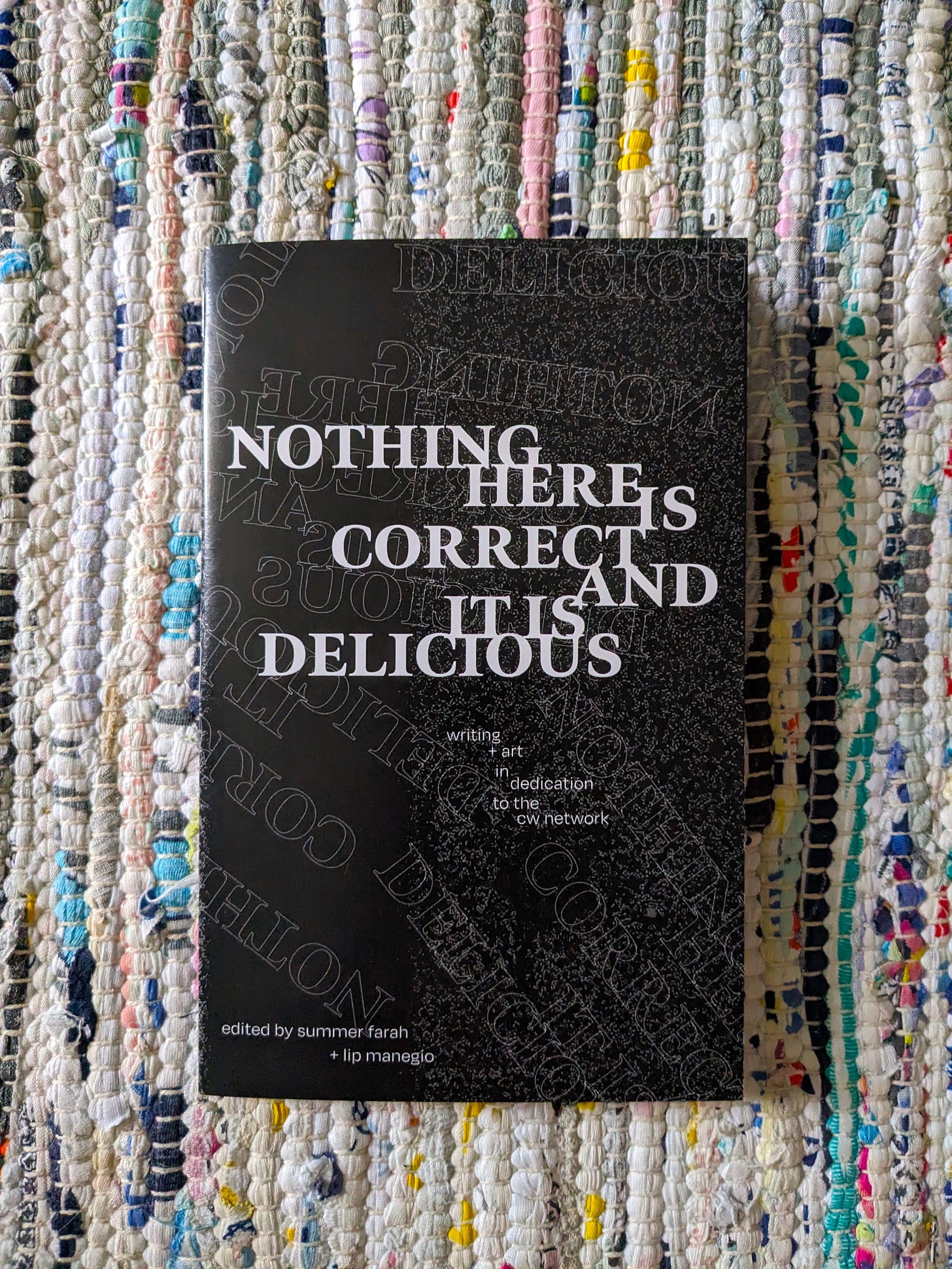 Monochromatic cover of the zine "NOTHING HERE IS CORRECT AND IT IS DELICIOUS" on a colorful rug.