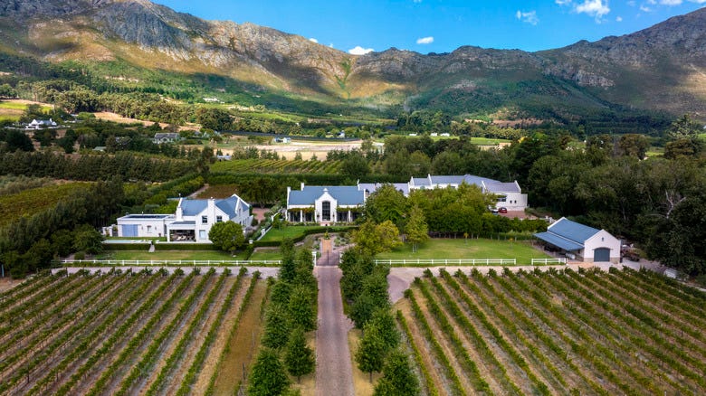 What Is Cap Classique, South Africa's Sparkling Wine?