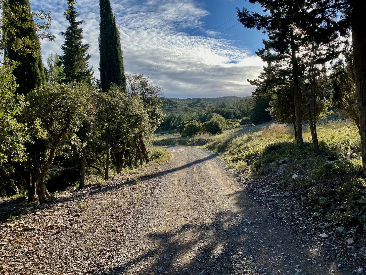 Descente Descente