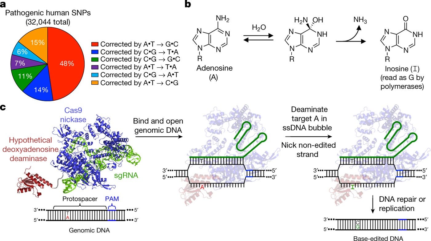 Programmable base editing of A•T to G•C in genomic DNA without DNA cleavage  | Nature