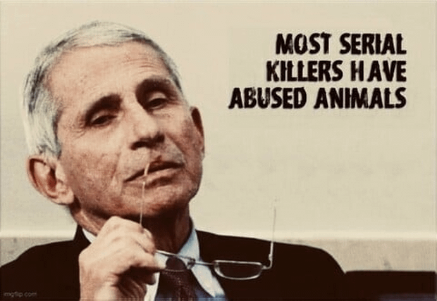 r/ConservativeMemes - most serial killers have abused animals