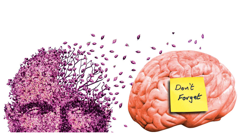 Colored drawing shows, on left: a face made of purple leaves which, on the right side of the "forehead," are blowing away and leaving bare branches. On the right, a side-view of a brain with a post-it note on it that says "Don't Forget."