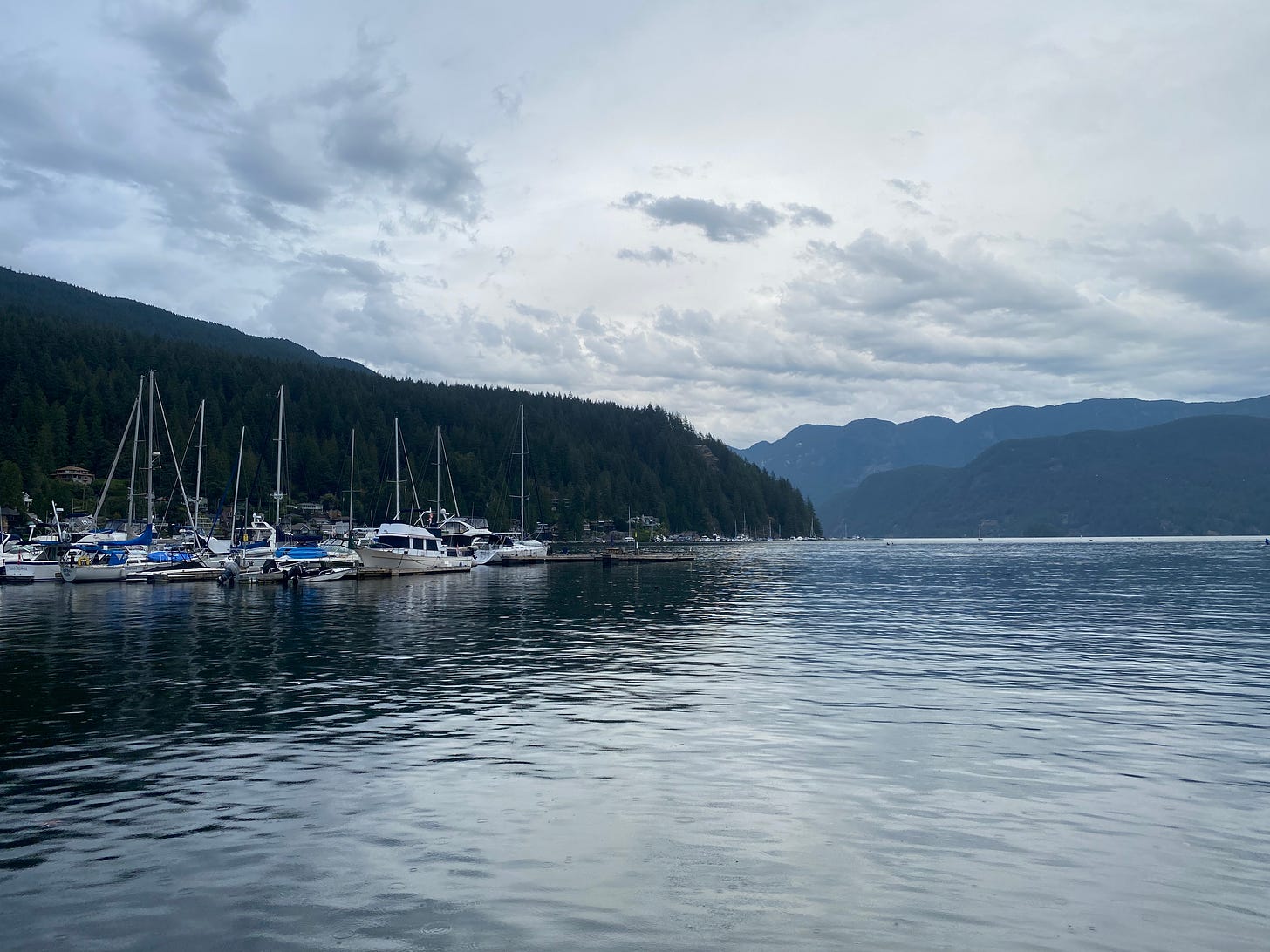 A calm ocean, sailboats in the harbour to the left, mountains on both sides of the inlet in the background. It's cloudy, everything looks kind of blue-green in the photo.