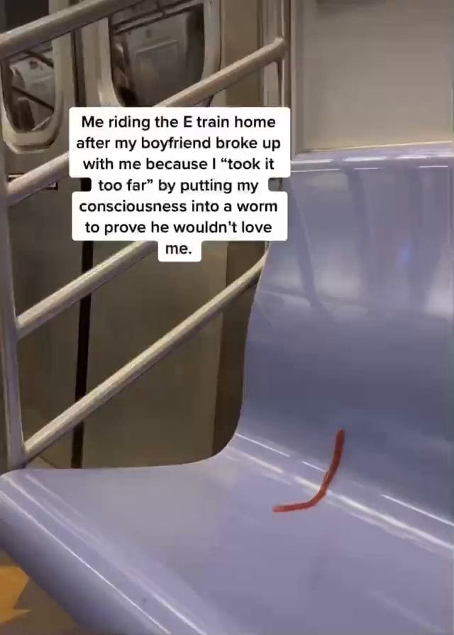 Me riding the E train home after my boyfriend broke up with me because I  "took it too far" by putting my consciousness into a worm to prove he  wouldn't love -