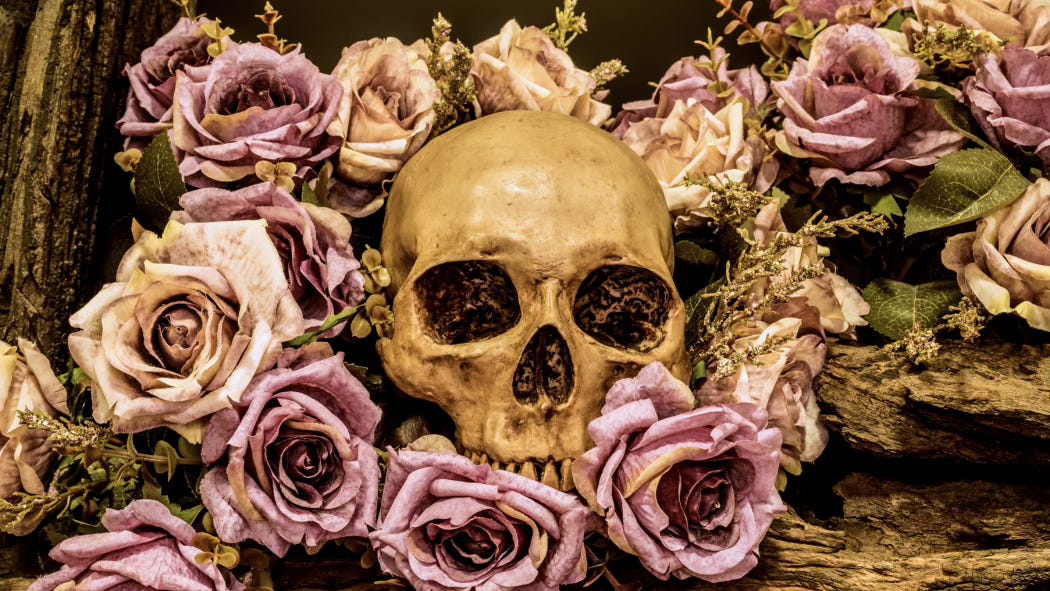 A yellowed skull stares out at you from its stony alcove that has been decked in a heap of roses.