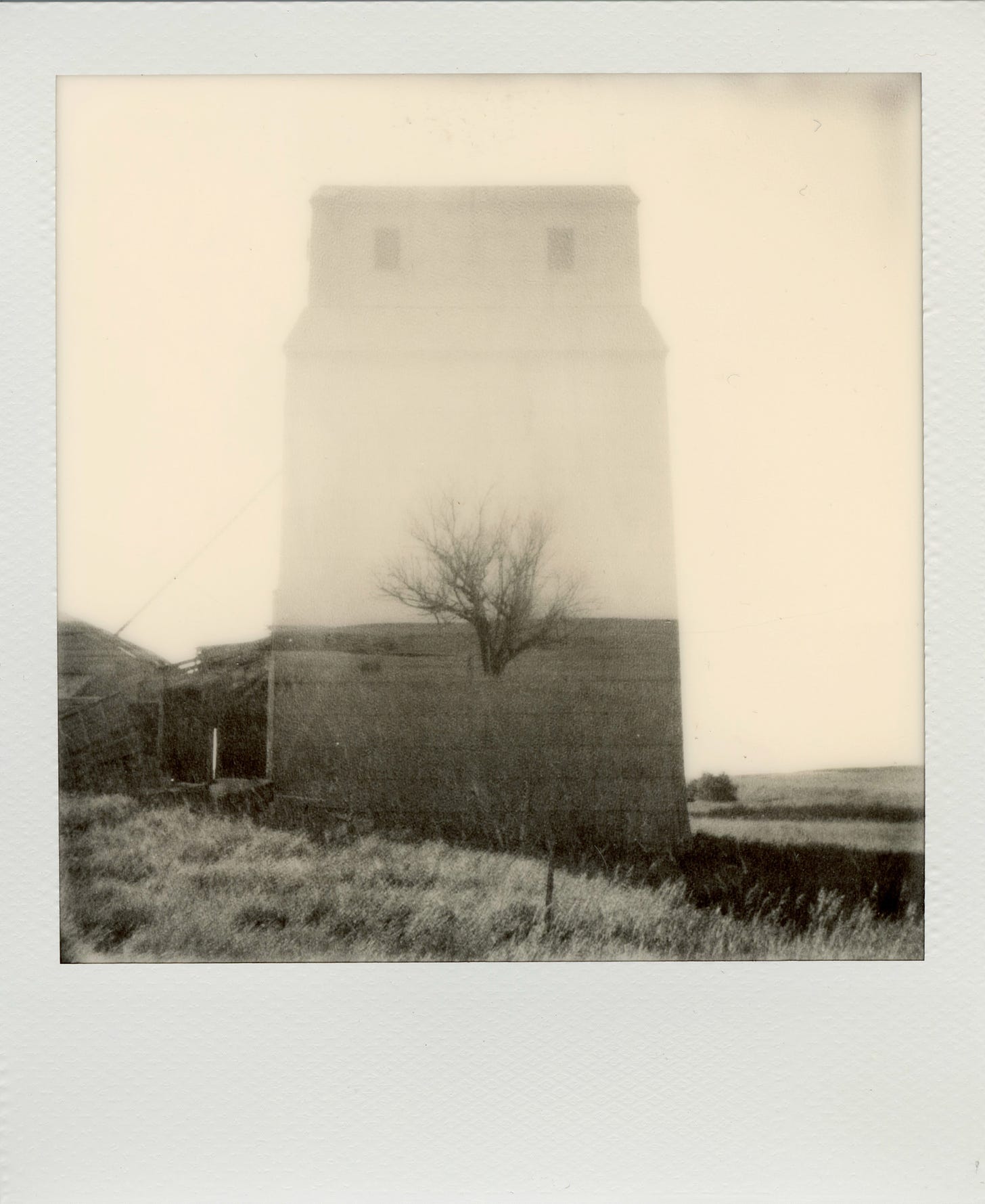 Elevator / Tree SX-70 Black and White Film