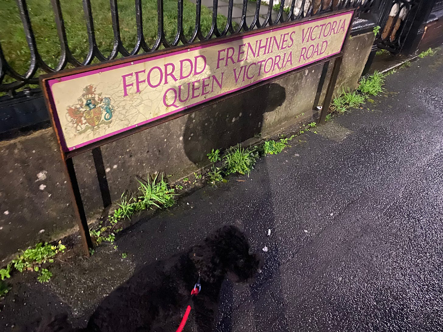A street sign at the edge of a pavement, with two lines, the first reading 'ffordd Frenhines Victoria' and blelow that, 'Queen Victoria Road'. My dog Jessie, a black cockapoo can be seen at the bottom of the shot.
