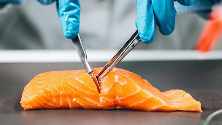 frankenfish bioengineered salmon