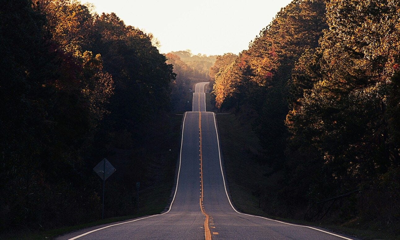 An empty road lined with trees An empty road lined with trees