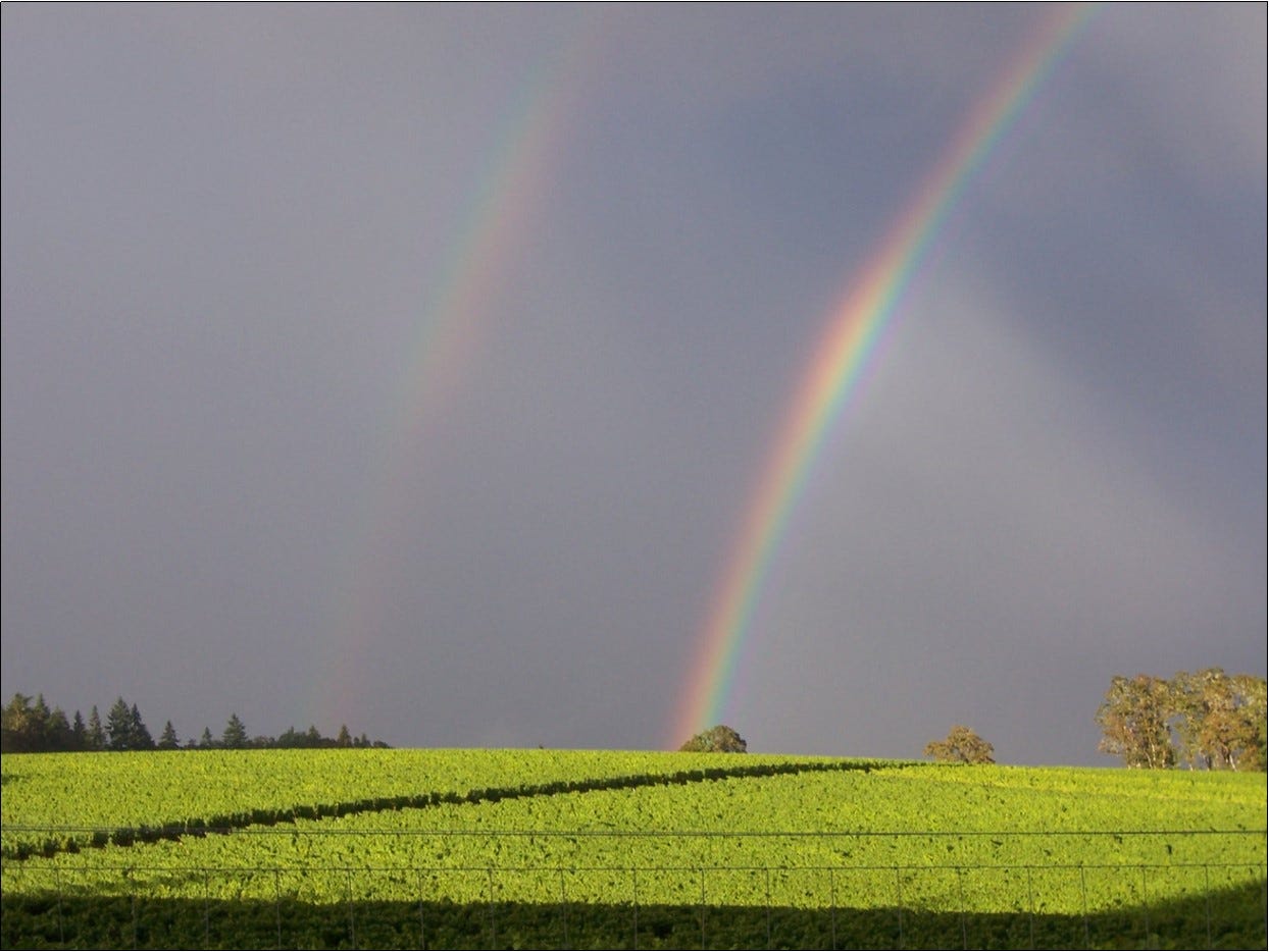 Double rainbow over Amalie Robert Estate during a prior vintage.